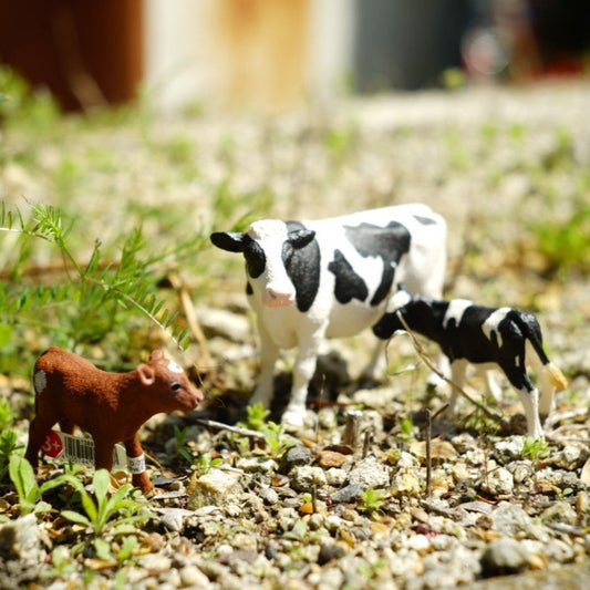 Schleich ホルスタイン牛(メス) 13797