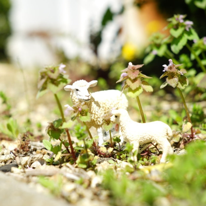 Schleich ヒツジ 13882