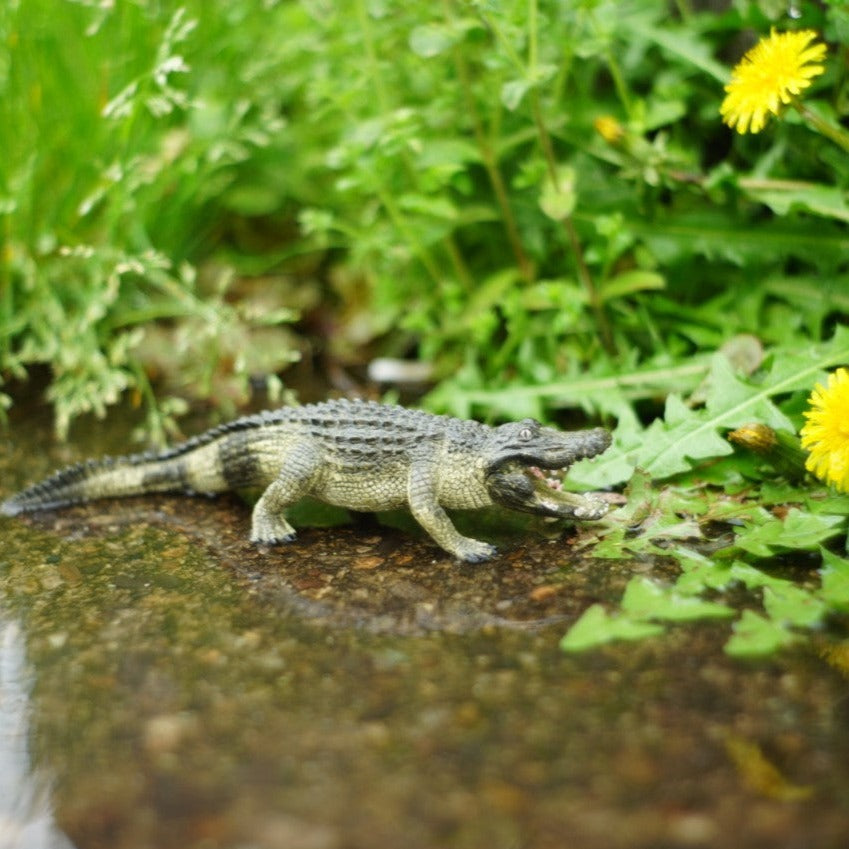 Schleich アメリカワニ 14727