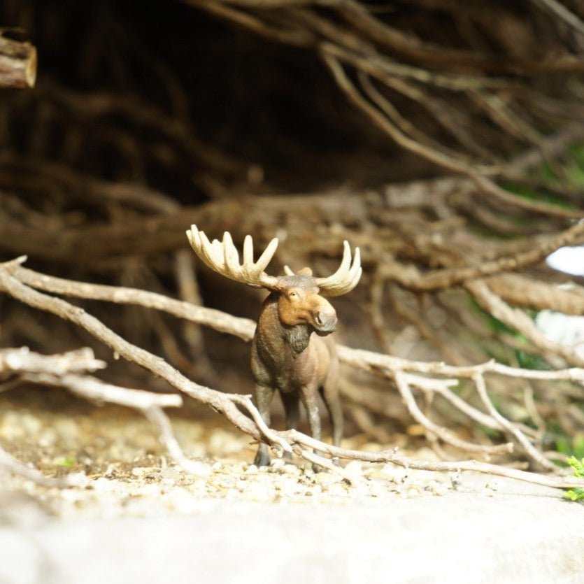 Schleich ヘラジカ(オス) 14781