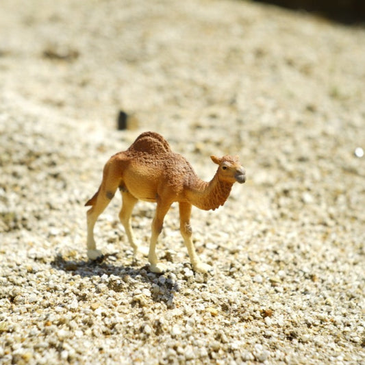 Schleich ヒトコブラクダ 14832