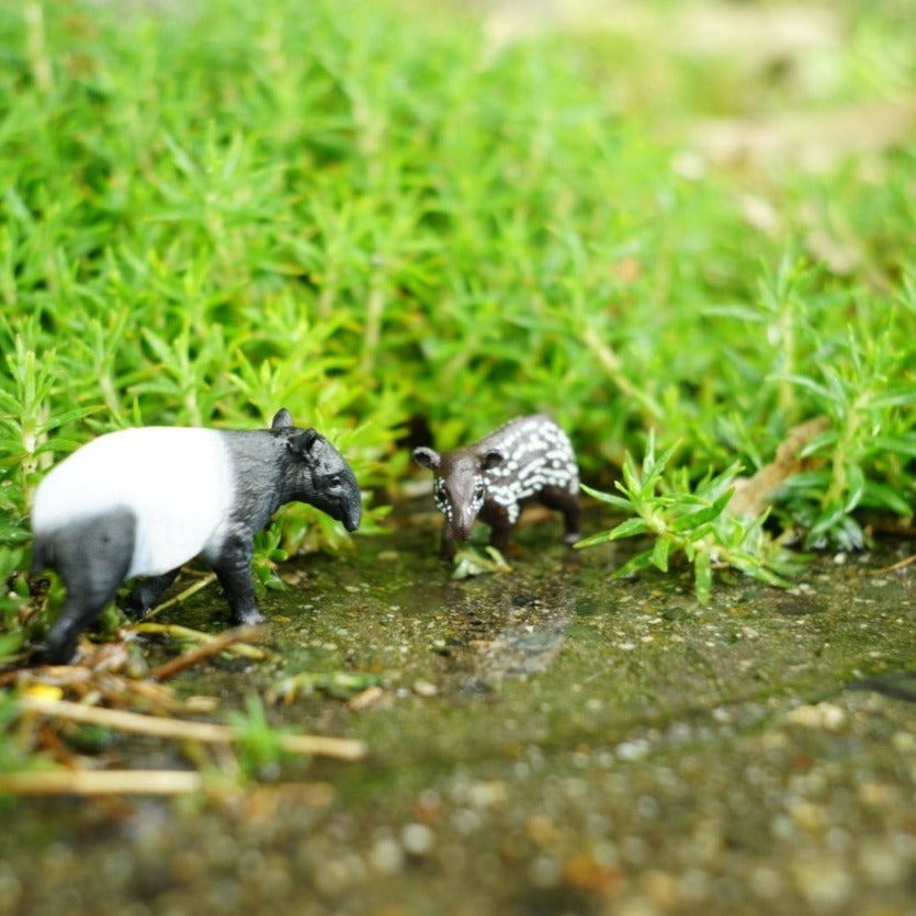 Schleich バク (仔) 14851