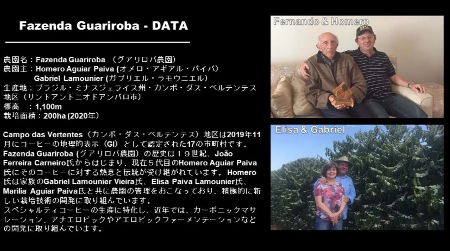 ブラジル / Fazenda Guariroba【深煎り】　